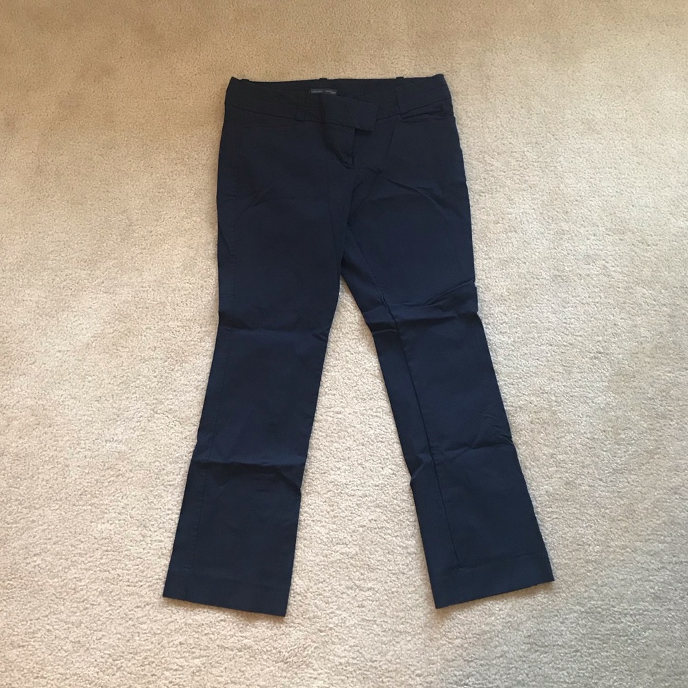 The Limited Exact Stretch Dress Pants